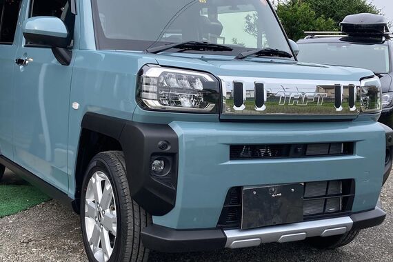 コーティング塗布後