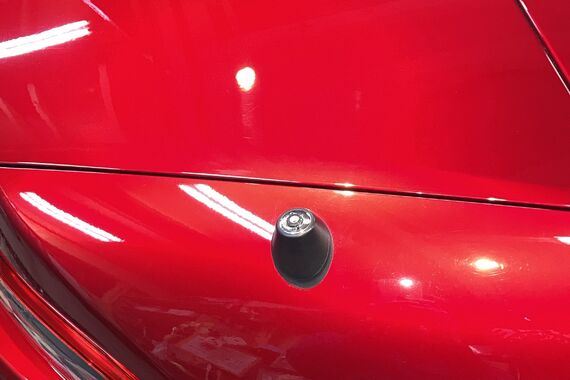 トランク　最終研磨後