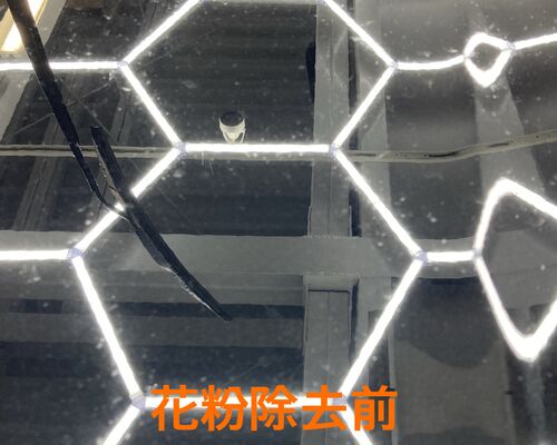 花粉付着のボディ