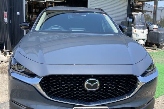 コーティング塗布後