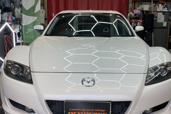 コーティング塗布後